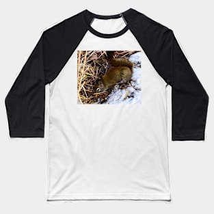 Searching for seeds. Baseball T-Shirt